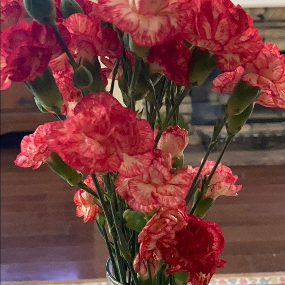 Meet your Posher, Kathy - Picture 1 of 1